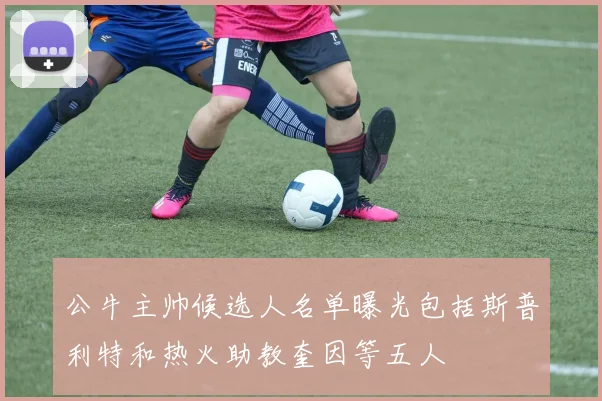 公牛主帅候选人名单曝光包括斯普利特和热火助教奎因等五人