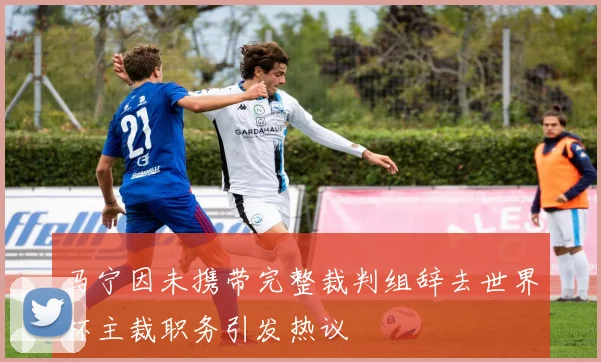 马宁因未携带完整裁判组辞去世界杯主裁职务引发热议
